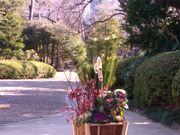 よねずさんの慶沢園の投稿写真1