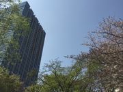 さわさんの戸山公園の投稿写真1