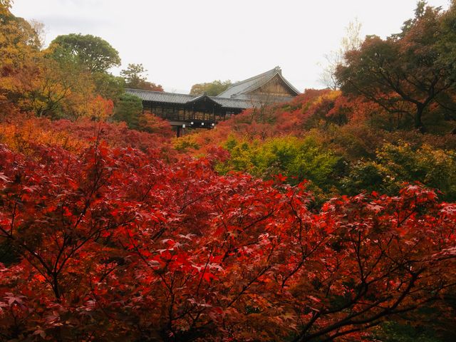 @_東福寺