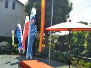 ちぃさんの鷹匠町武家屋敷「武鷹館」の投稿写真1