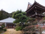 こぼらさんの禅幢寺の投稿写真1