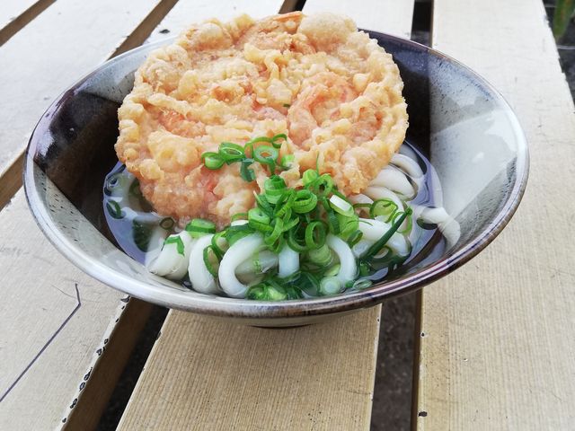 うどん小とエビかき揚げ_がもううどん