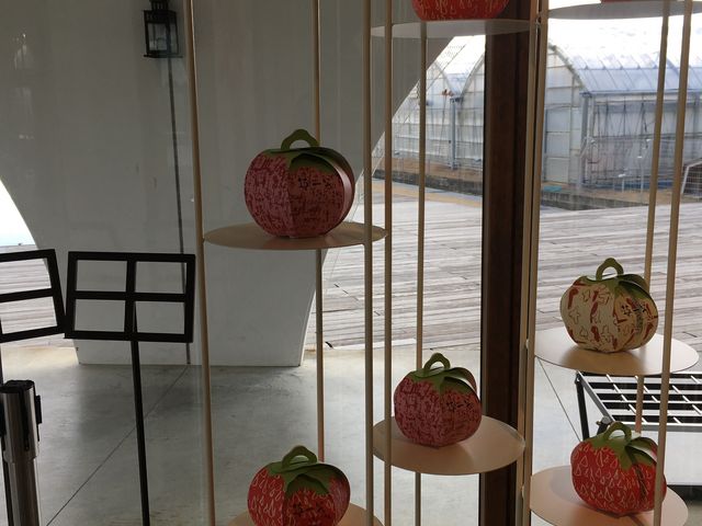 店内ディスプレイ_コンフィチュール・アッシュ