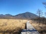 ロッキーさんの白根山の投稿写真1