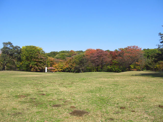 開放感のある広場_都立野川公園