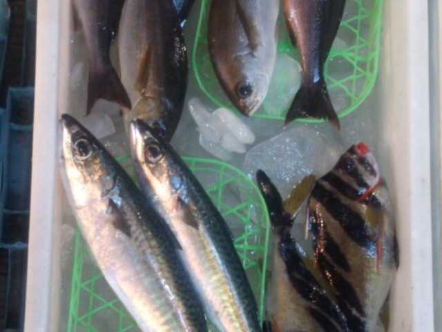 マス爺さんの道の駅ちくら・潮風王国の投稿写真1