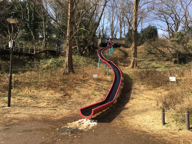 三ツ池公園_三ツ池公園