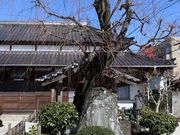 Yanwenliさんの柳と井戸/湘江庵の投稿写真5