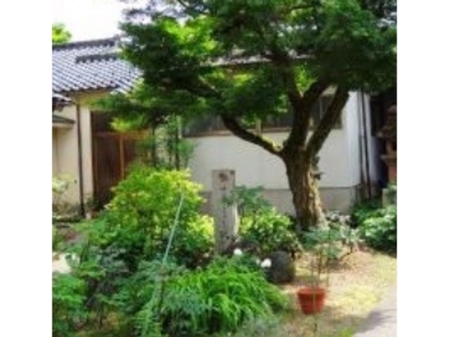 ていえん_大円寺