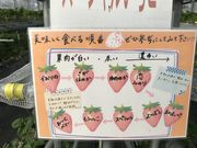 やまてんさんの佐賀ベリーフォレストの投稿写真1