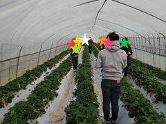 まこさんの原田いちご園への投稿写真1