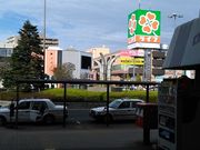 いかー家やねーさんの吉川駅南口 鯰モニュメントの投稿写真1