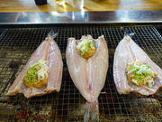 テッドさんの炉ばたちどりの投稿写真1