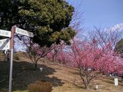 愛のすね毛さんの赤塚山公園の投稿写真1