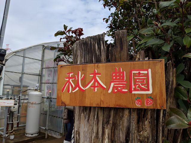 ナビ通り行ってもはた?!ってちょうっとわかりづらかったです。_秋本農園
