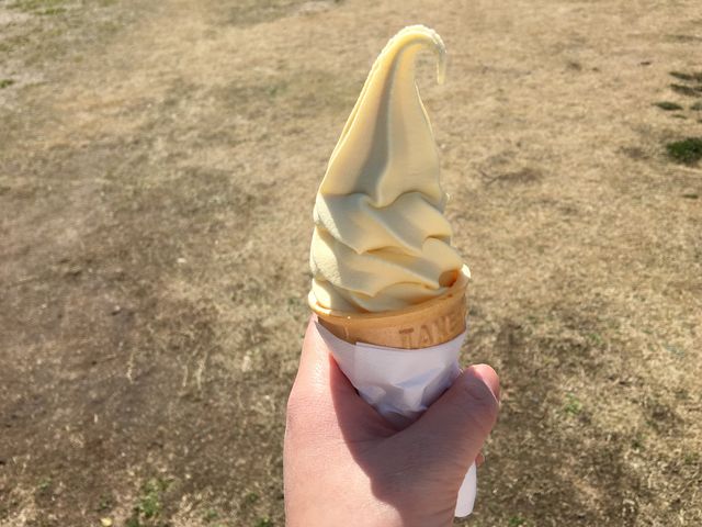 みかんソフトクリーム 2/10_道の駅鹿島