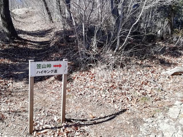 笠山峠より木の間ごしの笠山
_笠山