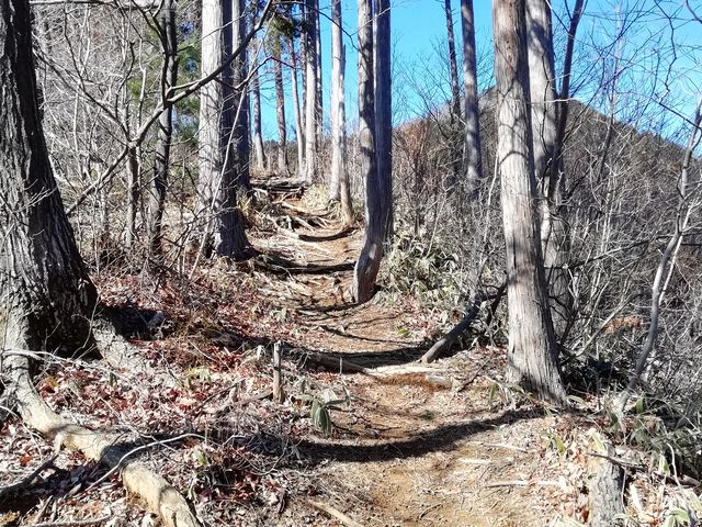 笠山西峰 標高837メートル_笠山