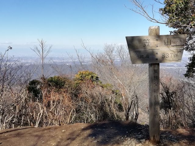 登山道脇 根こそぎ倒れた木々_笠山