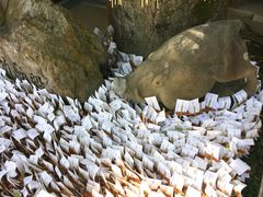 zuzuさんの護王神社への投稿写真5