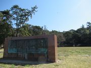 鶴亀松竹梅扇さんの任坊山公園の投稿写真3