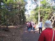 鶴亀松竹梅扇さんの任坊山公園の投稿写真4
