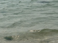 さーぴーさんの長間浜への投稿写真1