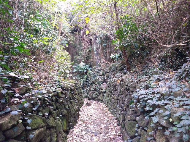 室岩洞へ続く道_室岩洞