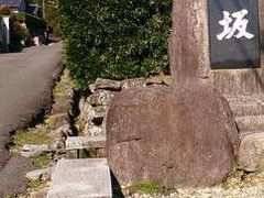 なばなさんの熊野古道 大門坂への投稿写真1