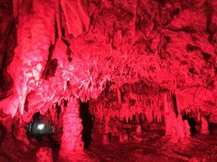 飛騨大鍾乳洞&大橋コレクション館の写真1