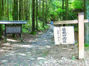 わかぶーさんの箱根旧街道「箱根八里」の投稿写真1