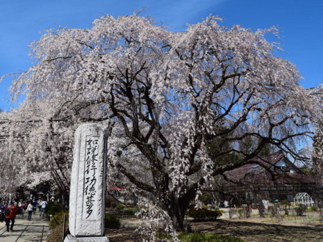実相寺