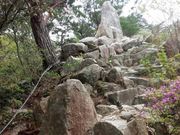 ゆりんさんの砂山の投稿写真1