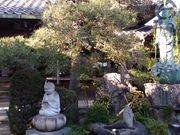 こんぱらさんの妙善寺の投稿写真3