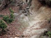 じんちゃんさんの砂山の投稿写真1