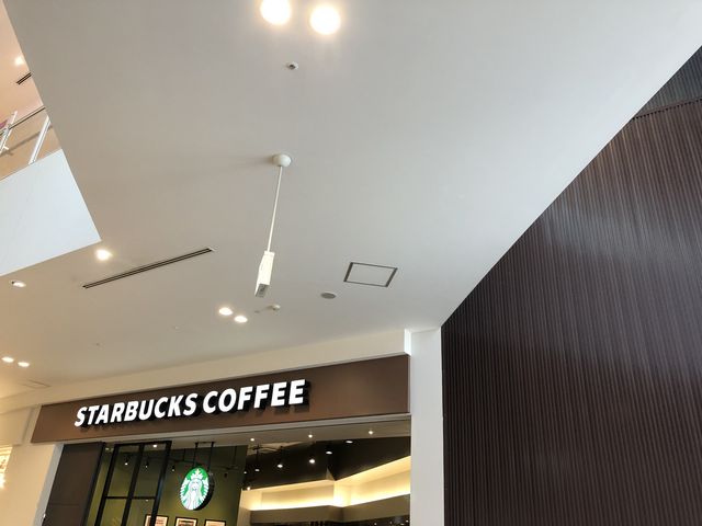 スターバックス・コーヒー ららぽーと豊洲店_スターバックス・コーヒー ららぽーと豊洲店