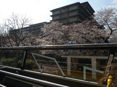 2階建てオープンバス『スカイバス』・水陸両用バス『スカイダック』の写真1