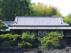 kazuさんの三島市立公園 楽寿園への投稿写真1