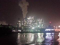 シーバスの写真1