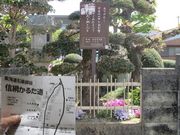 鶴亀松竹梅扇さんの佐佐木信綱記念館の投稿写真2