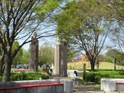 鶴亀松竹梅扇さんの植木栽培の投稿写真4