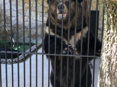 大内山動物園の写真1