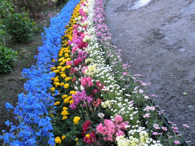 あしかがフラワーパーク