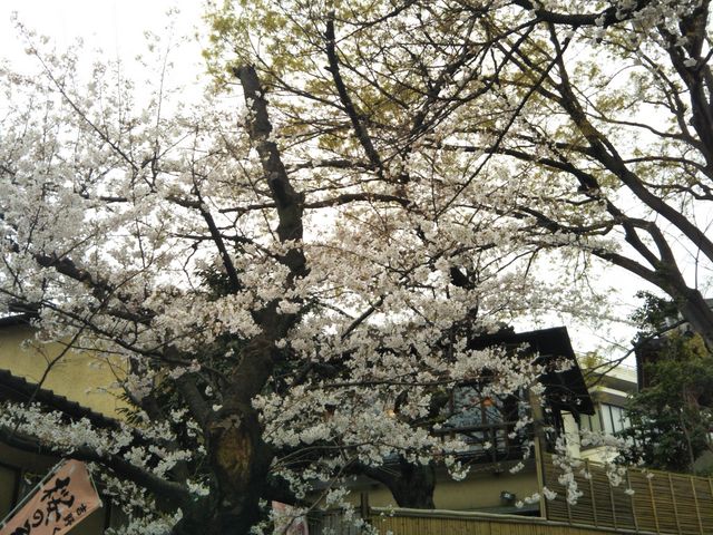 『韻松亭』。_韻松亭