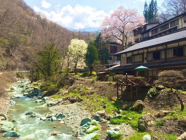 川が綺麗で桜も見れます。
良い景色_塩湯荘