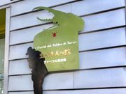 こゆさんのファーブル昆虫館(虫の詩人の館)の投稿写真1