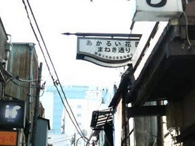 道幅の狭い路地に個性豊かな看板やたたずまいの飲み屋が一杯_新宿ゴールデン街