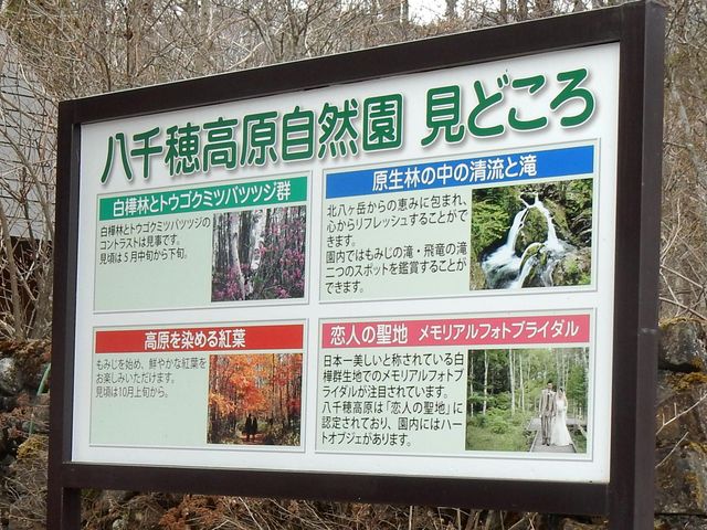 八千穂高原自然園 見どころ_八千穂高原自然園