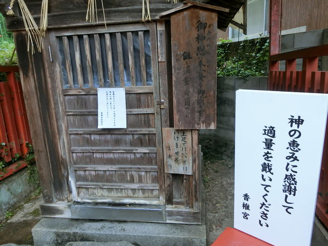 不老水