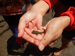 みんさんのmarinemate Luanaへの投稿写真1